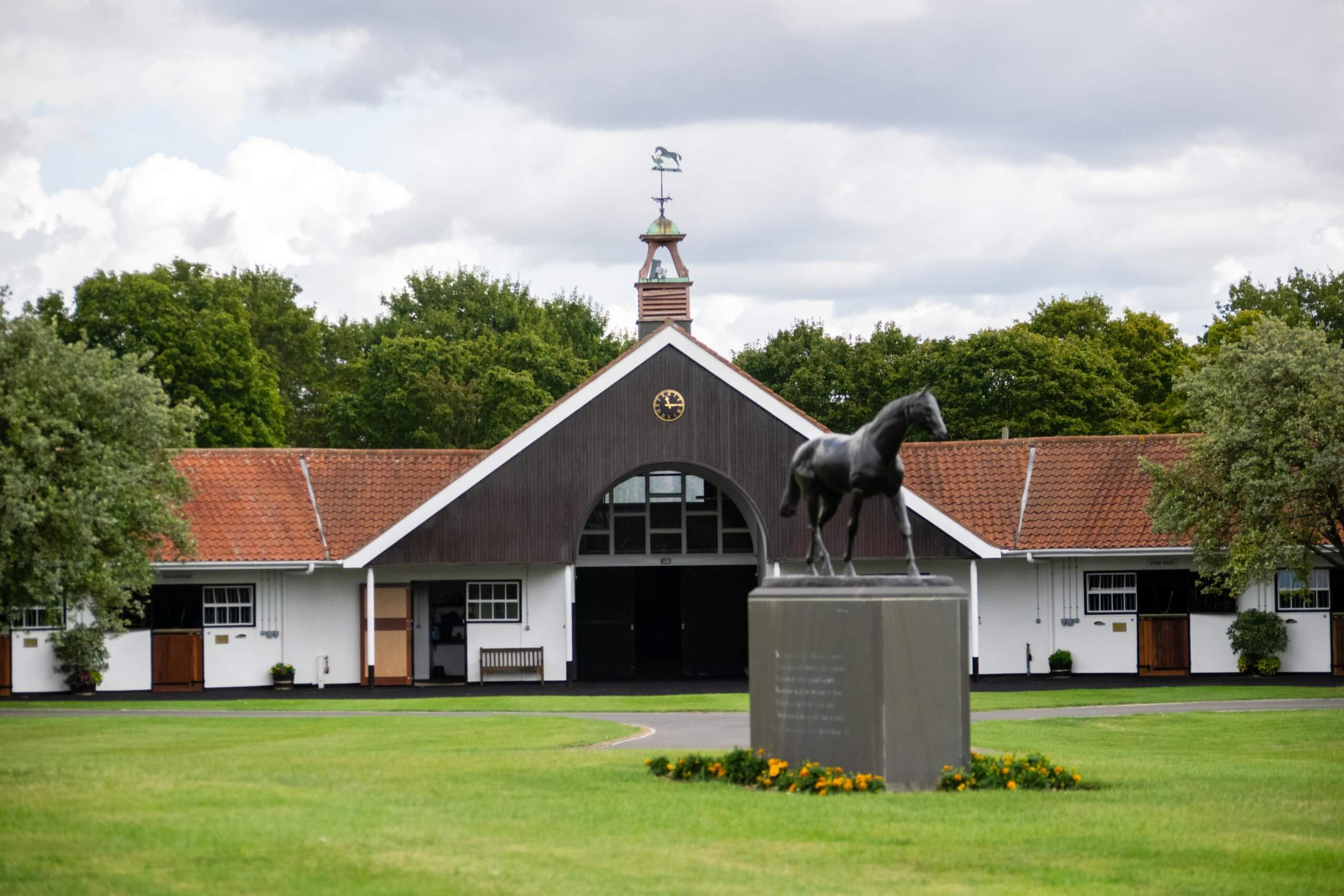 Discover-Newmarket-Gallops-Stud-24-of-46-scaled