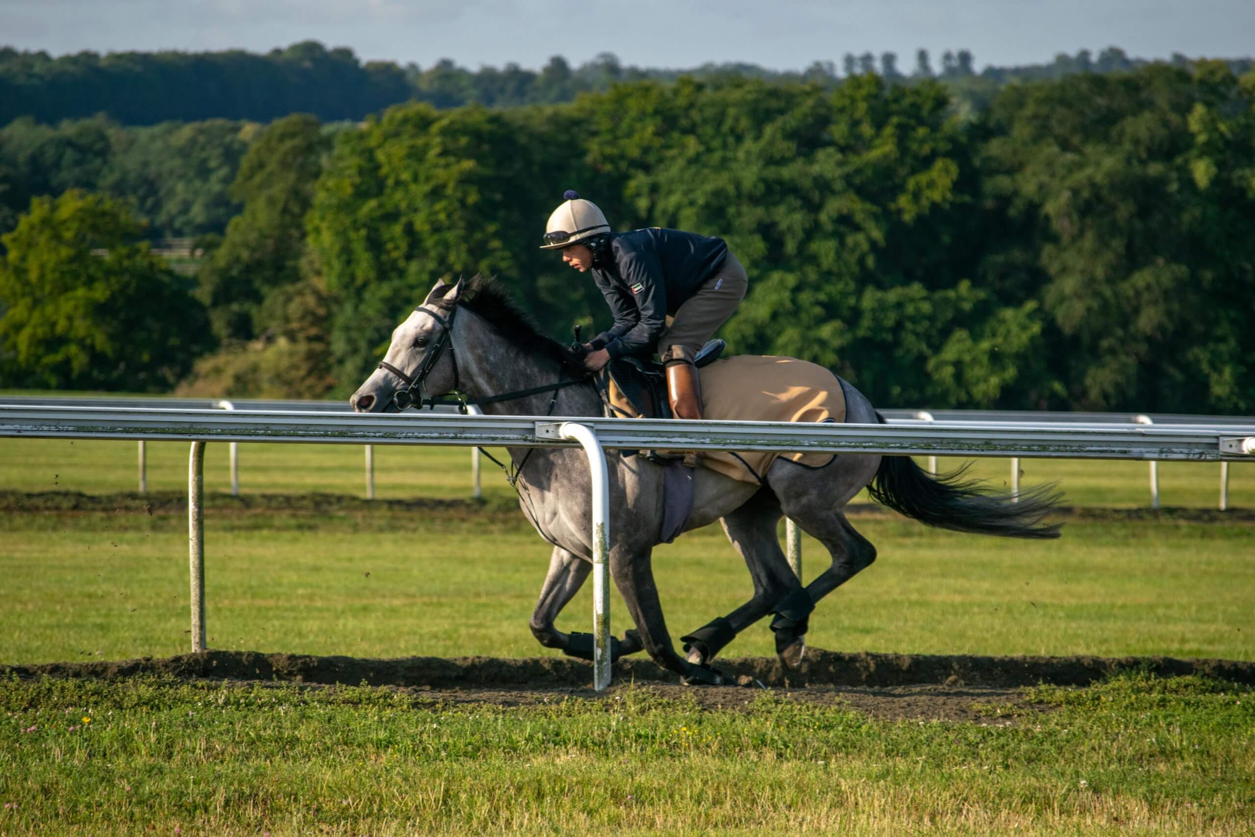 Discover-Newmarket-Gallops-Stud-6-of-46-scaled