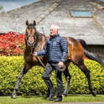 Discover Newmarket Tours