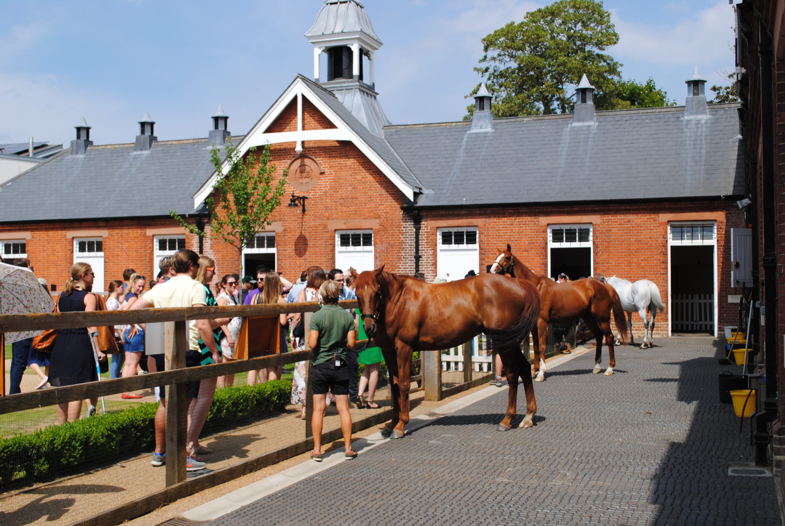 Horses on Rothschild Yard at NHRM