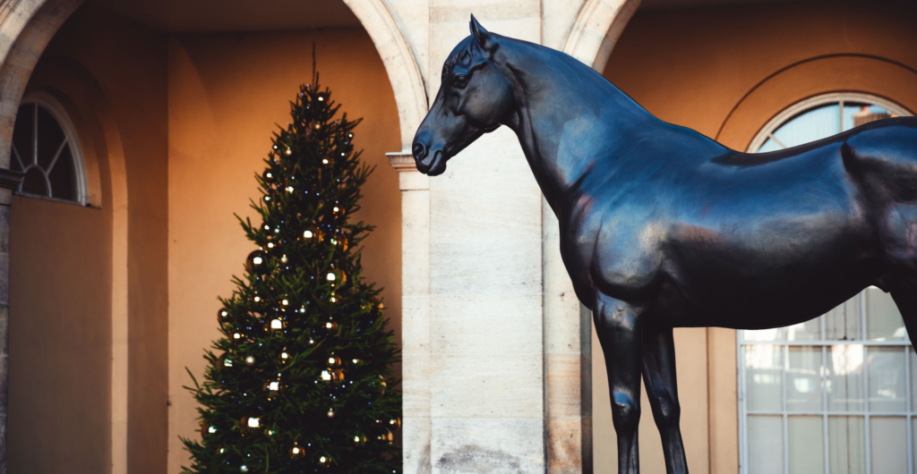 Discover Newmarket Tour Gift Vouchers – Discover Newmarket Tours