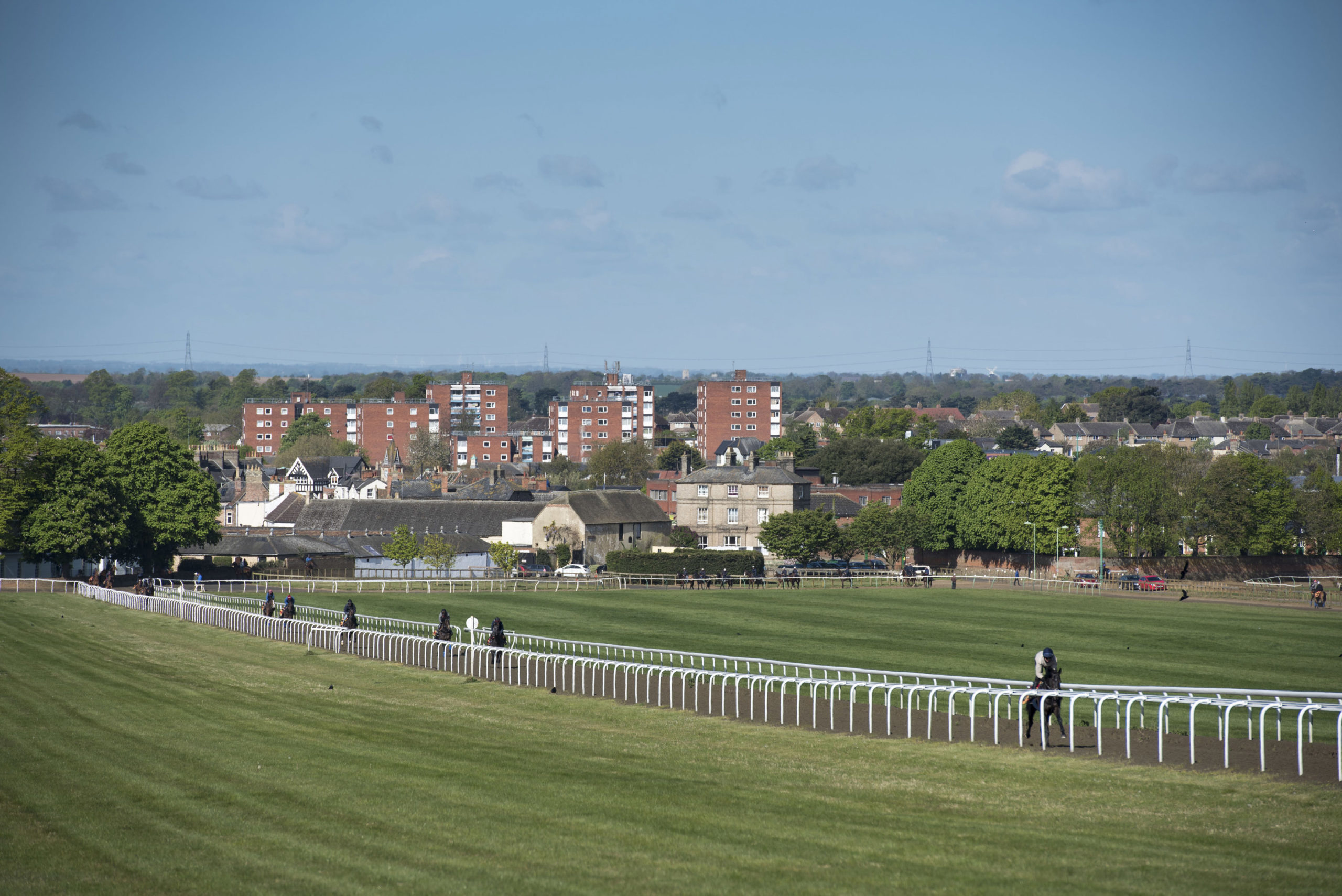 Newmarket Gallops