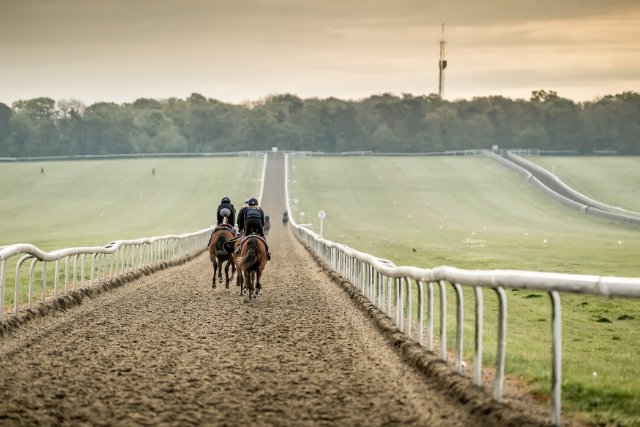 Gallops Tour Page Image 1 - 640 x 427px