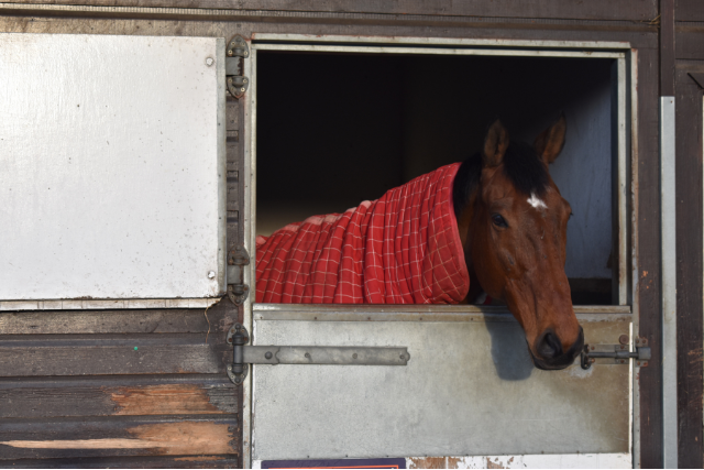 British Racing School Image 1 - 640 x 427px